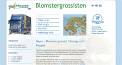 Desktop Screenshot of heyer.se