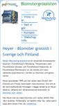 Mobile Screenshot of heyer.se