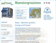 Tablet Screenshot of heyer.se